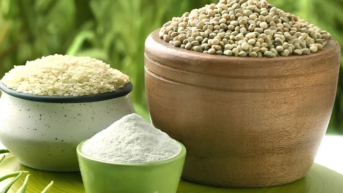 Bột guar gum là thức ăn cho lợi khuẩn, giúp nhu động ruột hoạt động tốt hơn 