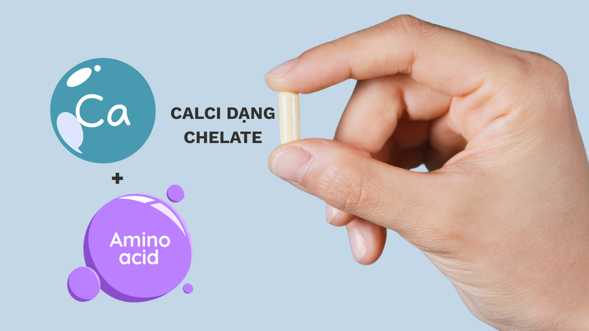 Bổ sung calci dạng chelate giúp tăng hiệu quả hấp thu so với các dạng muối vô cơ thông thường