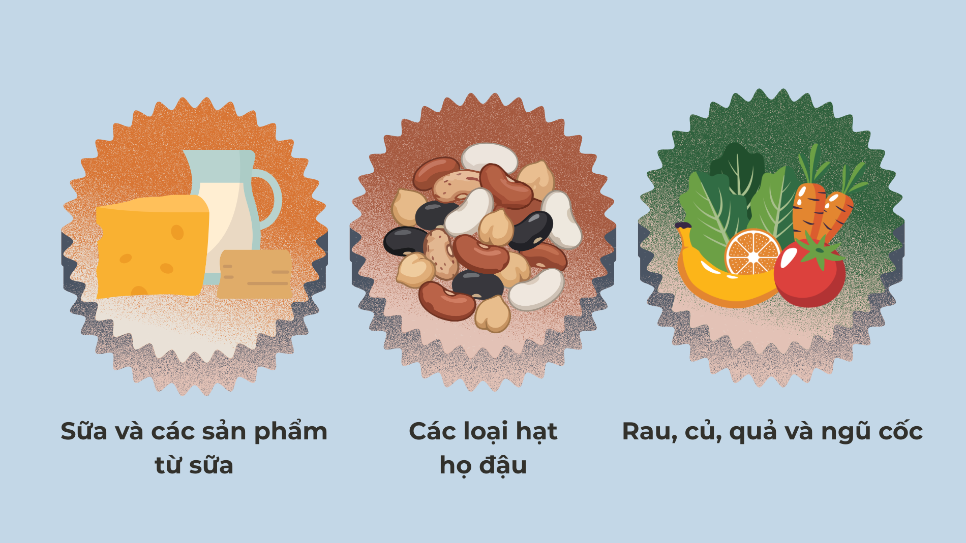 Sữa tươi và các sản phẩm từ sữa là nguồn thực phẩm giàu calci tối ưu nhất