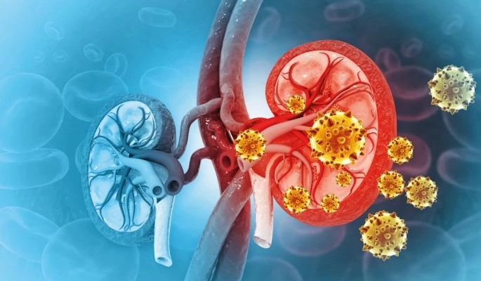 sức khỏe răng miệng có thể là một 'cửa sổ' tiềm năng để đánh giá tình trạng sức khỏe thận - Ảnh: Getty Images Plus