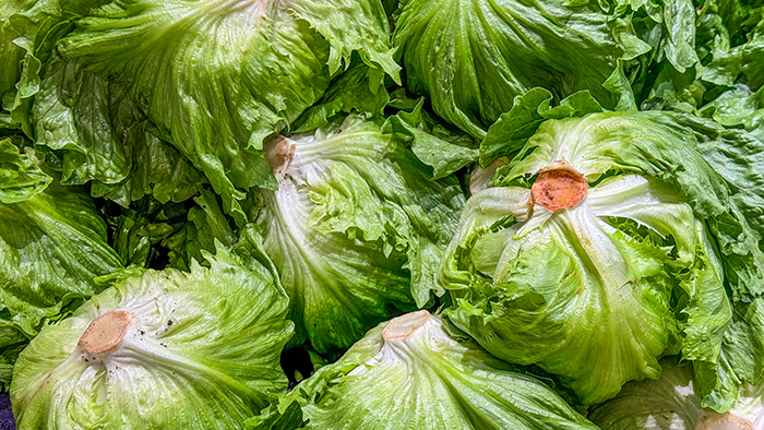 Ký sinh trùng Cyclospora lây lan qua nguồn nước tưới bị ô nhiễm