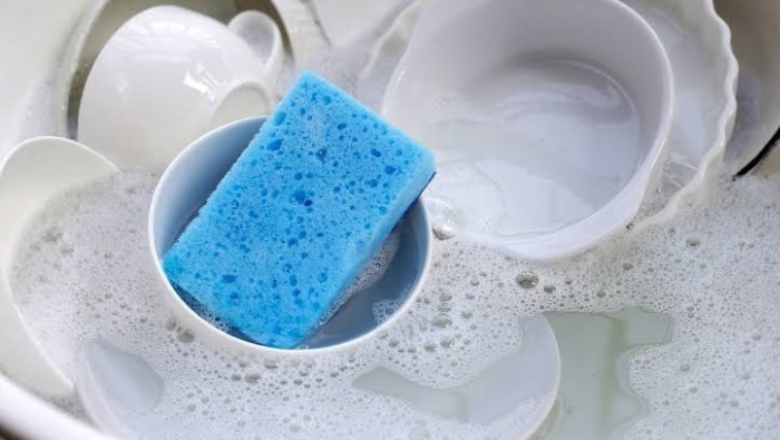 Miếng rửa bát ẩm ướt tại bồn rửa là môi trường lý tưởng cho các loại vi khuẩn trú ngụ