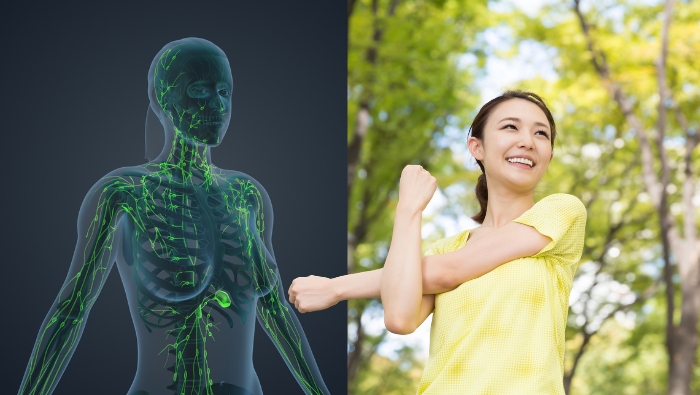 Thường xuyên vận động giúp hệ bạch huyết lưu thông tốt, nâng cao sức đề kháng