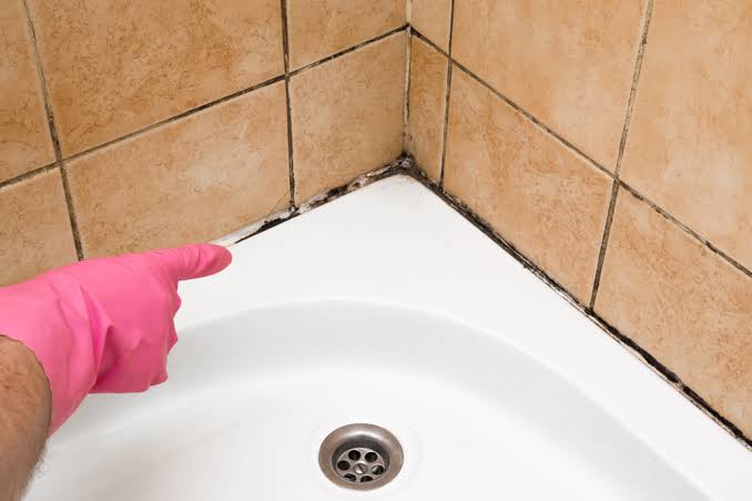 Bụi và độ ẩm trong phòng tắm có thể tạo điều kiện cho nấm mốc phát triển