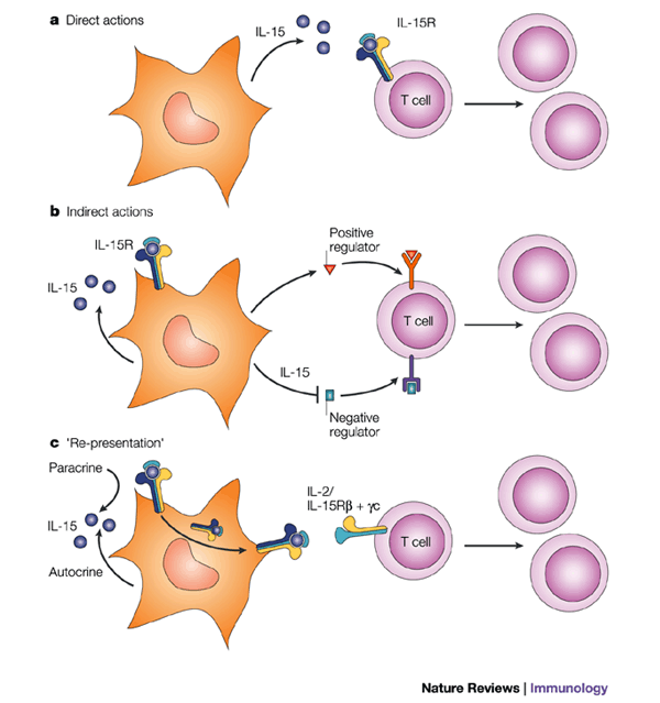 Thử nghiệm vaccine ung thư mới