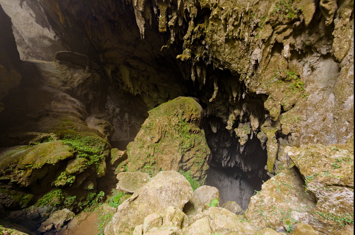 Đi kèm các bức ảnh chụp đường vào hang Sơn Đoòng là thông tin giới thiệu sơ lược về hang động hùng vĩ nằm trong công viên quốc gia Phong Nha - Kẻ Bàng, Quảng Bình. Ước tính chiều dài của hệ thống hang động tại Phong Nha - Kẻ Bàng lên tới hơn 200km. Cửa vào hang Sơn Đoòng là một dốc thoải trơn trượt chui vào bóng tối.