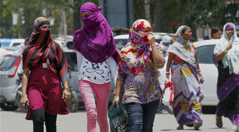 Ấn Độ: Hơn 1.100 người chết do nắng nóng  - Ảnh 3