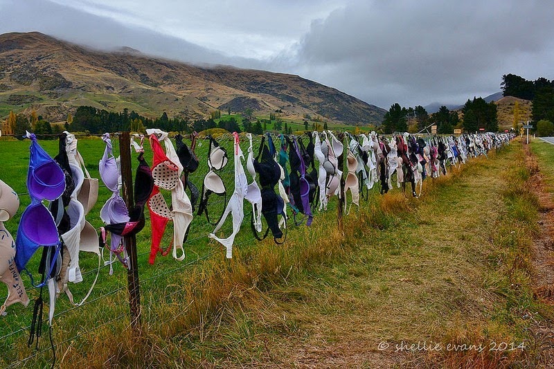 Hàng rào áo ngực kỳ lạ Cardrona của Central Otago, New Zealand bắt đầu hình thành từ năm 1999 vào dịp Giáng Sinh. Khi đó, người 