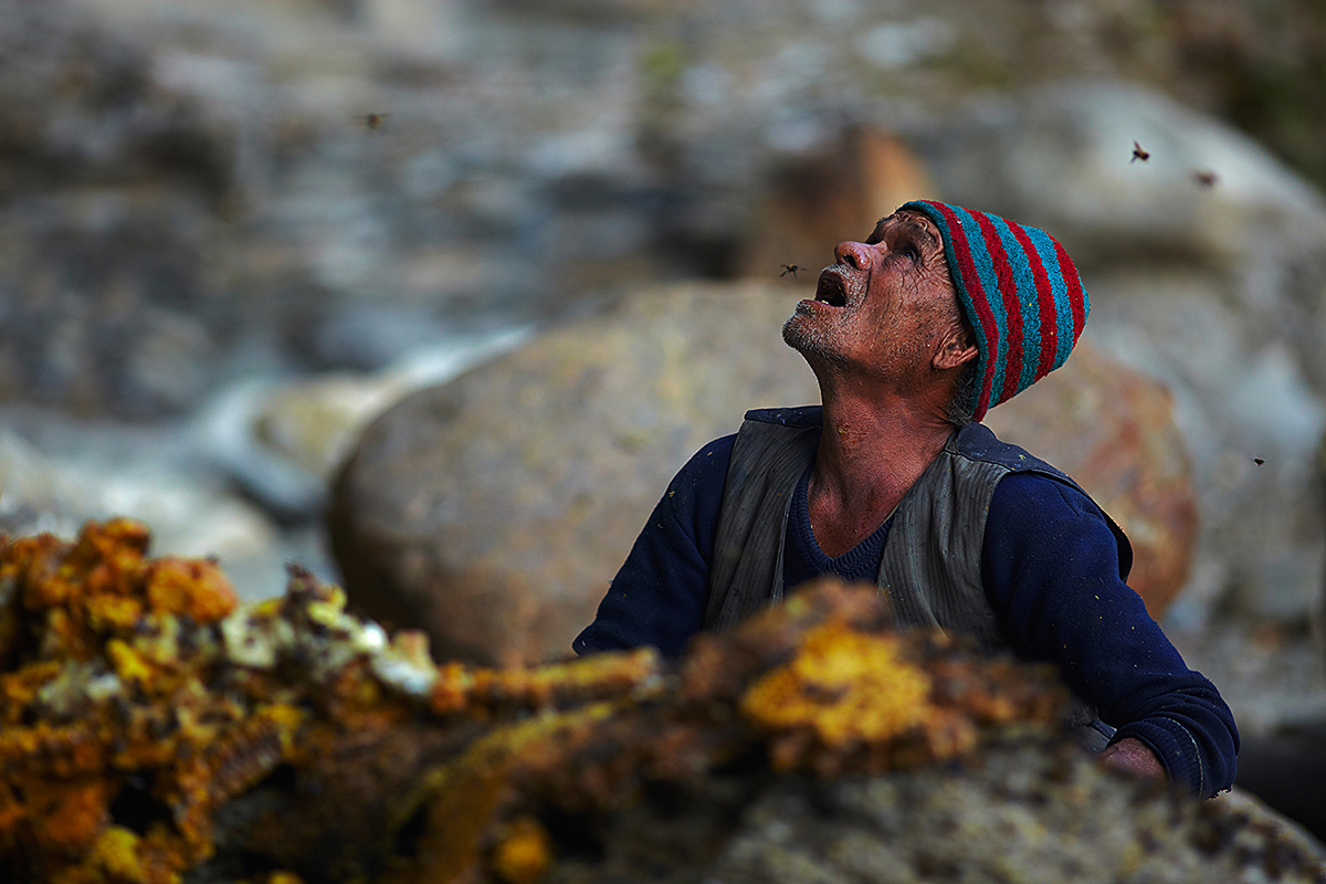 Nepal: Nguy hiểm nghề lấy mật ong trên đỉnh thế giới - Ảnh 10