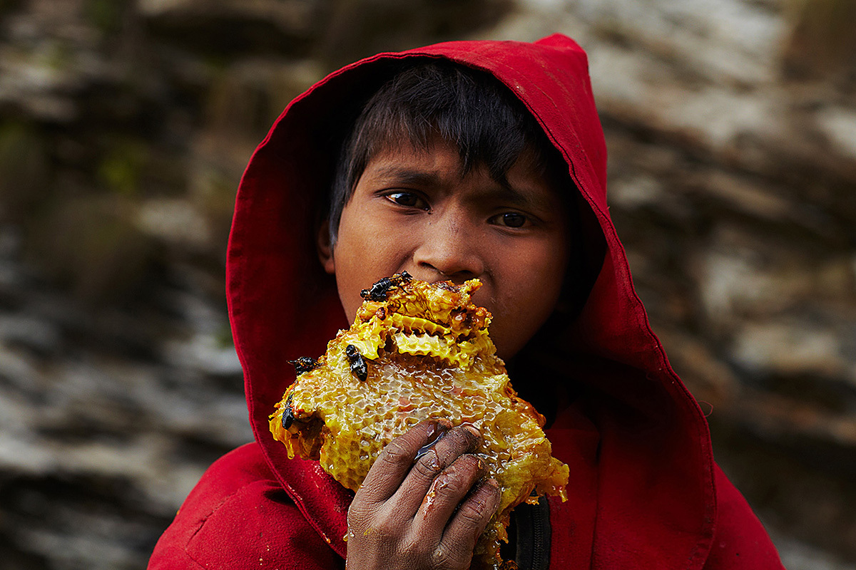 Nepal: Nguy hiểm nghề lấy mật ong trên đỉnh thế giới - Ảnh 12