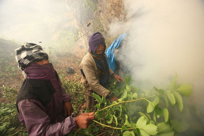 Nepal: Nguy hiểm nghề lấy mật ong trên đỉnh thế giới - Ảnh 7