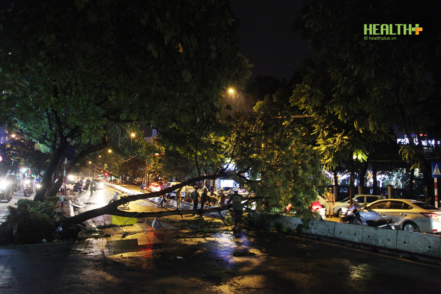 Hà Nội: Cây xanh, cột điện đổ ngổn ngang sau trận mưa dông dữ dội - Ảnh 4