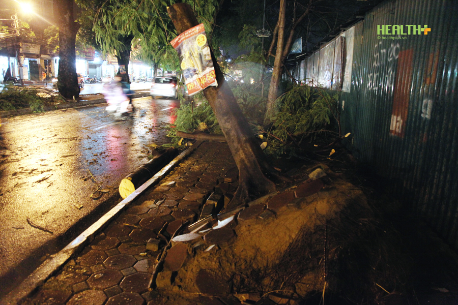 Hà Nội: Cây xanh, cột điện đổ ngổn ngang sau trận mưa dông dữ dội - Ảnh 10