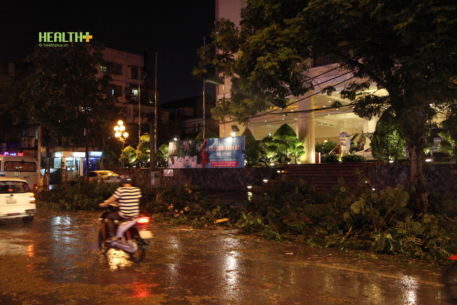 Hà Nội: Cây xanh, cột điện đổ ngổn ngang sau trận mưa dông dữ dội - Ảnh 11