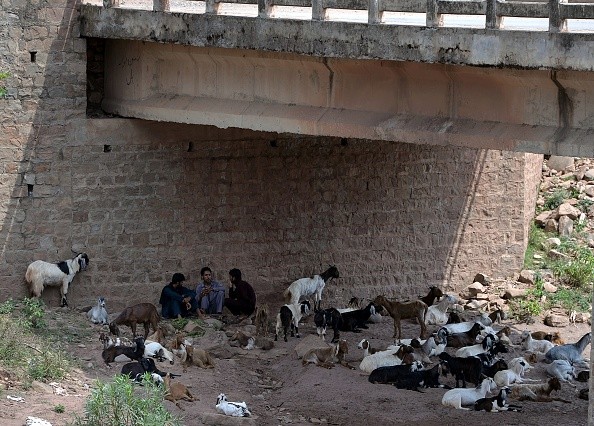 Gần 700 người chết vì nắng nóng kỷ lục tại Pakistan - Ảnh 15