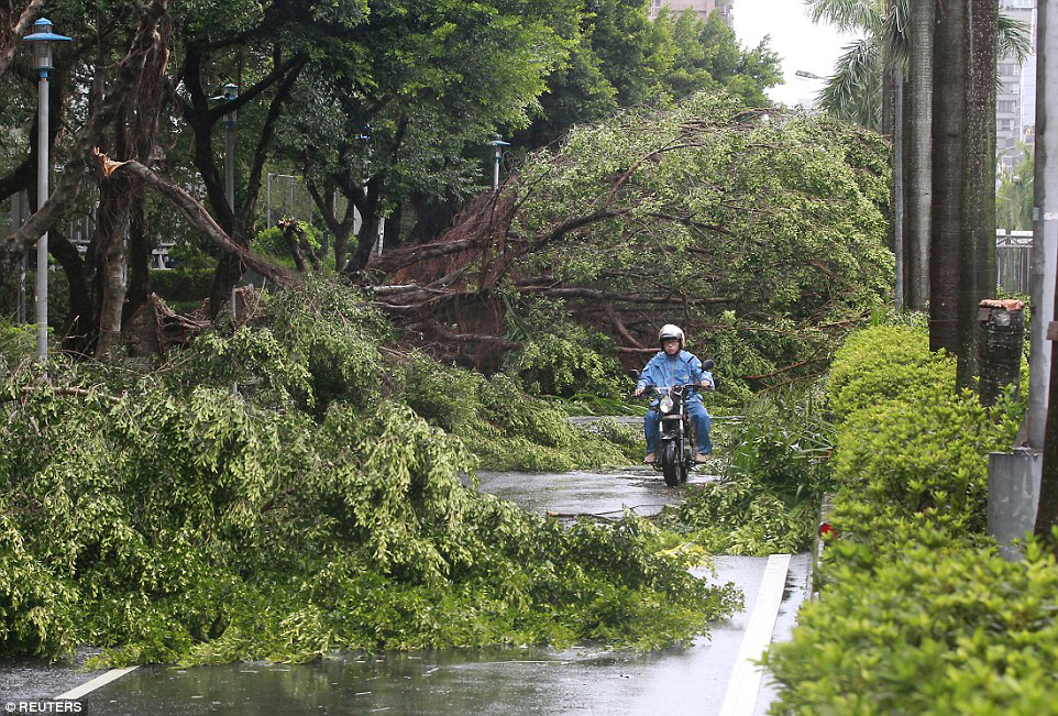 Đài Loan, Trung Quốc tan hoang sau siêu bão Soudelor đi qua - Ảnh 8