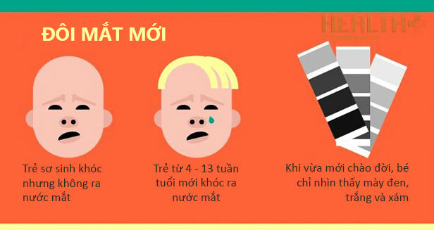 Mắt chữ O, mồm chữ A vì những sự thật từ con ngươi - Ảnh 4