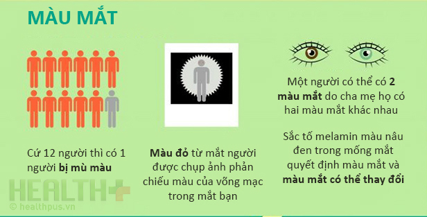 Mắt chữ O, mồm chữ A vì những sự thật từ con ngươi - Ảnh 6