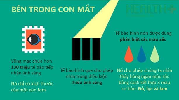Mắt chữ O, mồm chữ A vì những sự thật từ con ngươi - Ảnh 7