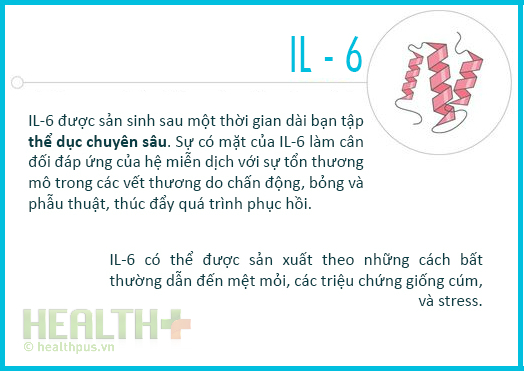 Đừng hỏi vì sao yếu như... sên - Ảnh 8