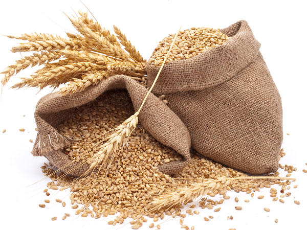 Gluten trong lúa mì được biết đến là một tác nhân gây hen suyễn phổ biến, gây viêm đường thở, dẫn đến các cơn hen