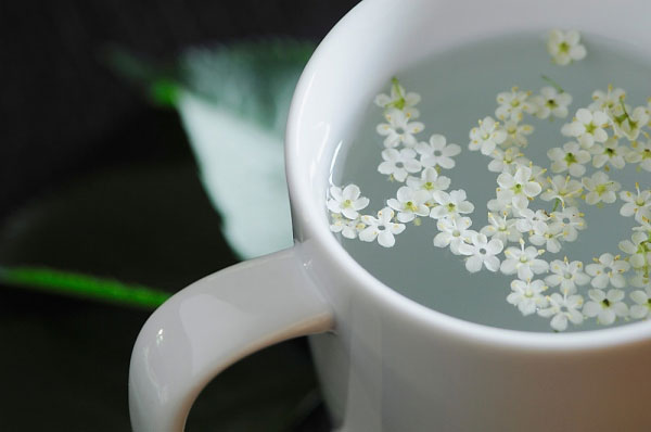 6 loại trà thảo dược cực tốt cho nam giới - Ảnh 3