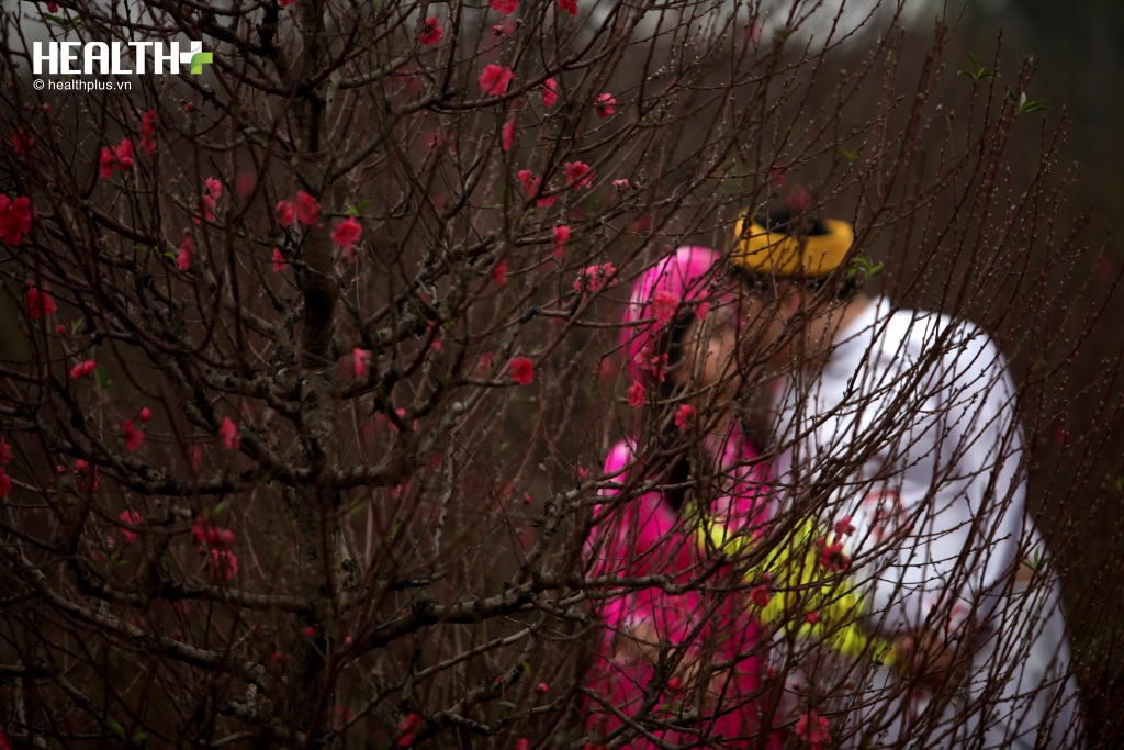Bất chấp cái lạnh thấu xương, người Hà Nội vẫn đổ xô ra vườn đào Nhật Tân chụp ảnh - Ảnh 6