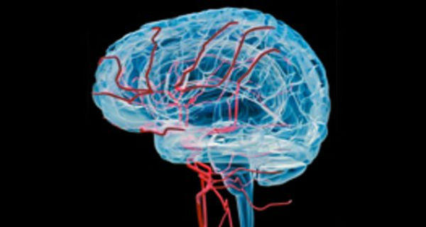 Thần kinh: Xuất tinh sớm cũng có thể do sự mất cân bằng hóa học trong trung tâm não bộ của nam giới.