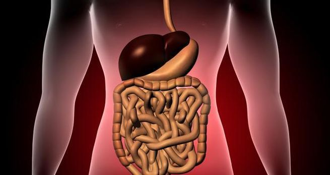 Giảm nguy cơ gan nhiễm mỡ: Một nghiên cứu vào 2011 cho thấy, chế độ ăn uống bao gồm cần tây, lúa mạch và rau diếp xoăn... giúp ích trong việc giảm chất béo tích tụ trong gan và giữ cho lá gan khỏe mạnh.
