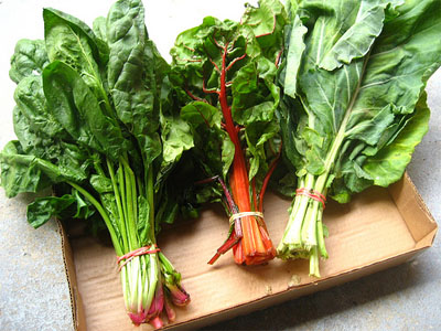 Ăn các loại rau lá xanh: Những loại rau này có chứa nhiều chất chống oxy hóa dành cho não như vitamin K, giúp bảo vệ tế bào não.