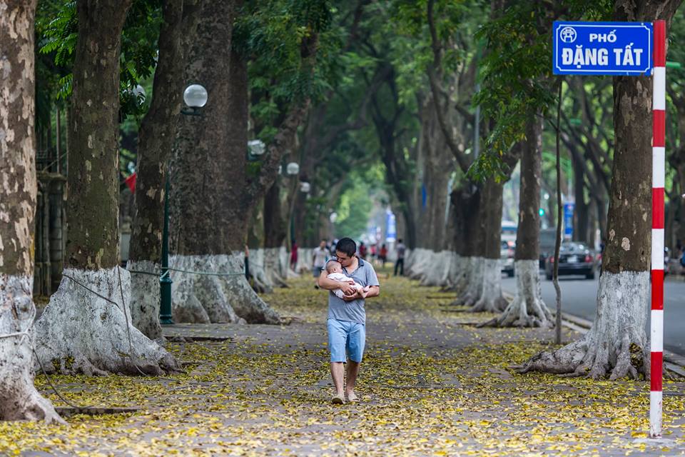 Bức ảnh trên là khoảnh khắc một ông bố nựng nịu con trên phố Phan Đình Phùng, Hà Nội. Tác giả: Đào Anh Tuấn