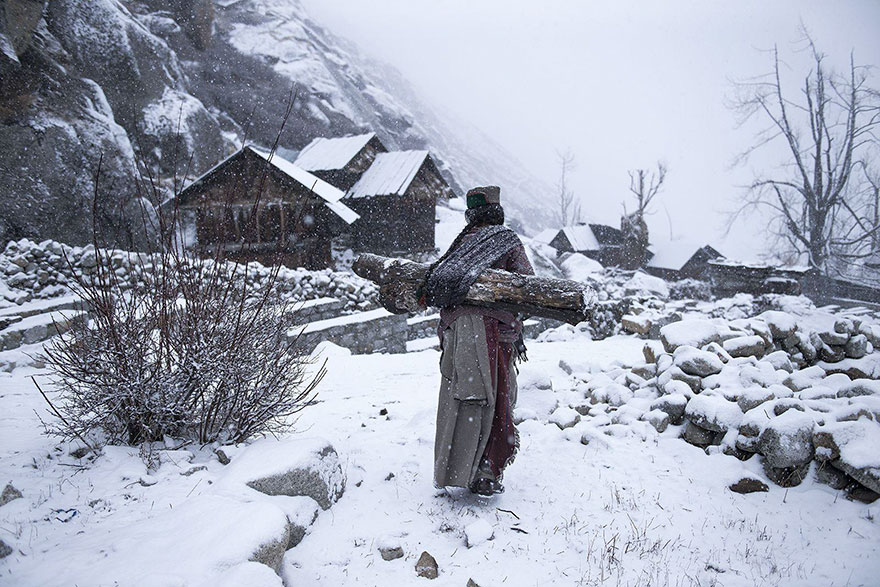 Một bà cụ tại một ngôi làng xa xôi ở Himachal Pradesh (Ấn Độ) mang theo mình khúc gỗ lớn để sưới ấm ngôi nhà dưới mùa đông giá rét trong bức ảnh 