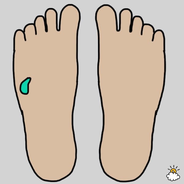 Trong mọi trường hợp, xoa bóp khu vực như trong hình này ở cả hai bàn chân có thể thúc đẩy chức năng gan.
