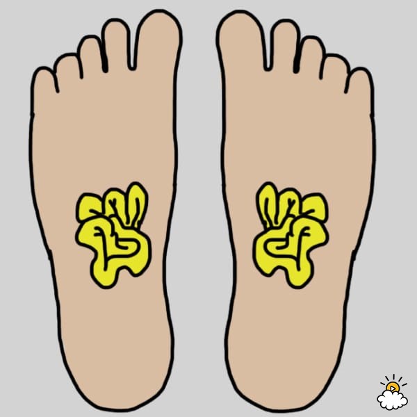 Xoa bóp lòng bàn chân để cải thiện tiêu hóa và giúp đường ruột khỏe mạnh. Điều này còn mang lại những tác dụng kỳ diệu cho những người khó tiêu.