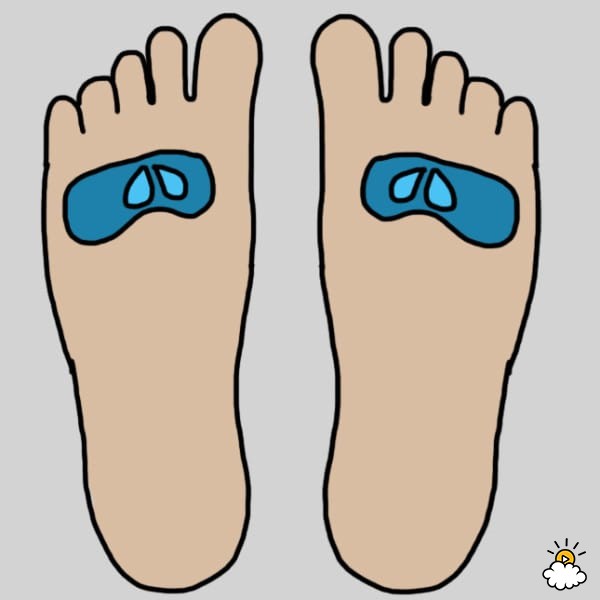 Phổi được cho là kết nối trực tiếp đến khu phía trên của bàn chân gần với ngón chân. Massage, bấm huyệt ở khu vực này sẽ đem lại hiệu quả tuyệt vời cho những người bị bệnh hen suyễn hoặc chỉ đơn giản là cố gắng để cải thiện sức khỏe của phổi.