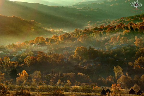 Chùm ảnh mùa thu đẹp huyền ảo từ một chiếc máy ảnh chỉ 5 triệu đồng - Ảnh 12