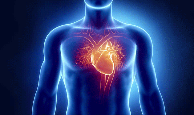 8 sự thật về bệnh suy tim có thể bạn chưa biết