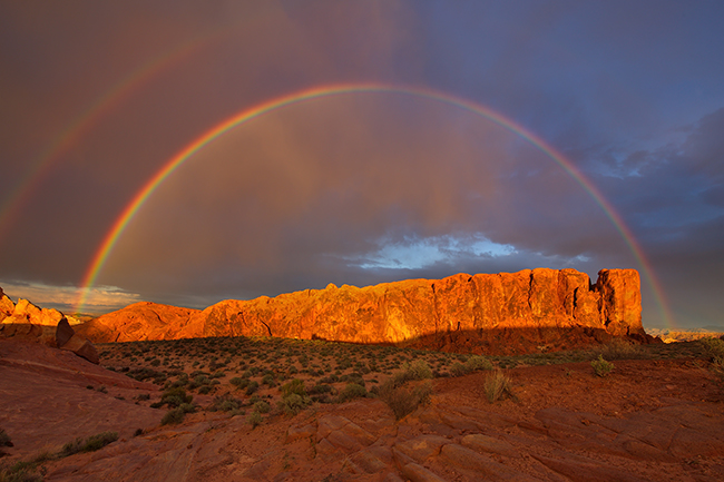 Để có được tác phẩm 'Cầu vồng' tuyệt đẹp như này, nhiếp ảnh gia Zachary Gertsch đã phải 'phục kích' dưới một trận mưa lớn trước đó trong nhiều giờ tại tiểu bang Nevada, Hoa Kỳ