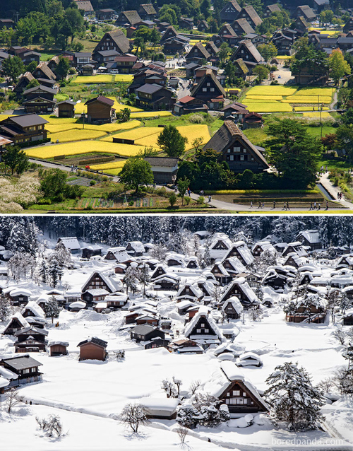 Ngôi làng lịch sử ở Shirakawa-Go là một di sản thế giới đã được UNESCO công nhận. Làng nổi tiếng với nghề trồng dâu và ươm tơ dệt lụa. Những ngôi nhà ở đây được xây dựng theo kiểu kiến trúc Gassho được xem là tài sản văn hóa quan trọng của Nhật Bản. 
