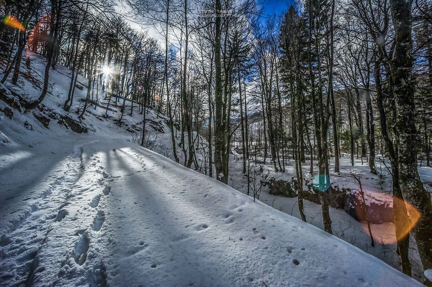 Ngoài những hang động, thác nước, hồ đầm, vườn quốc gia hồ Plitvice còn có những khu rừng sồi, thông và rừng hỗn giao tuyệt đẹp. Đây là điểm đến lý tưởng để du khách có thể hòa mình với thiên nhiên và tận hưởng một mùa đông lãng mạn ở đất nước Croatia.