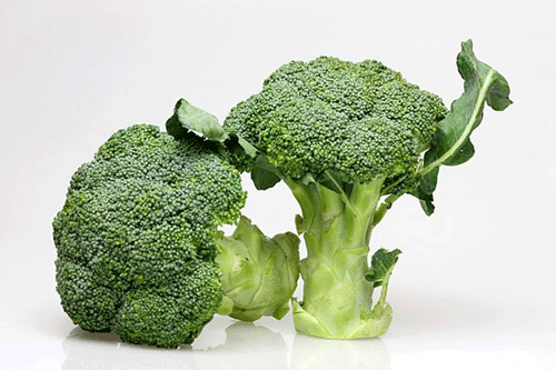 Phát hiện cơ chế ngăn ngừa ung thư của súp lơ xanh