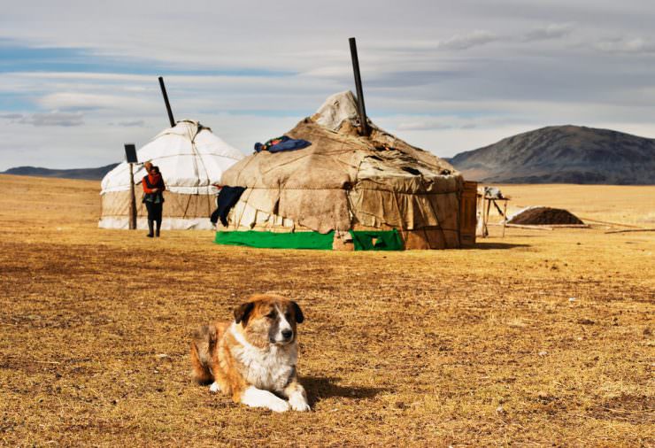10 điều nên làm ở Mông Cổ - Ảnh 9
