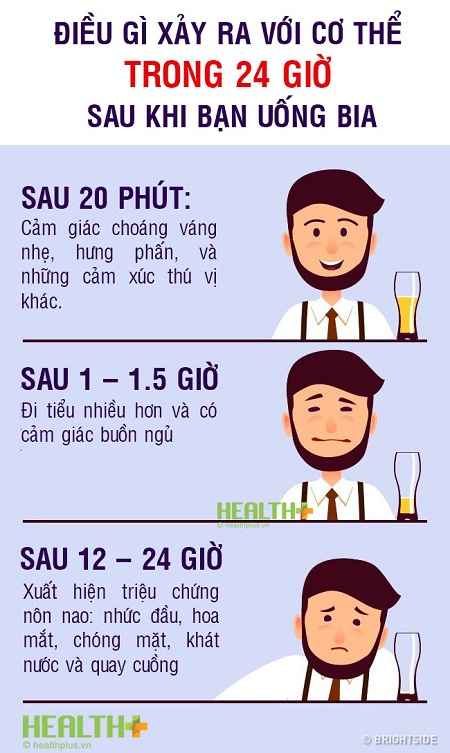 Infographic: Điều gì xảy ra khi bạn uống nhiều bia hàng ngày? - Ảnh 2