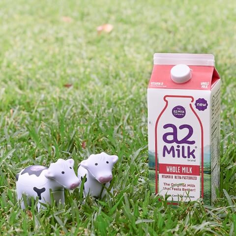 sữa a2 là gì