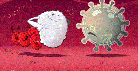 Bổ sung probiotics có ích cho việc trị bệnh do virus