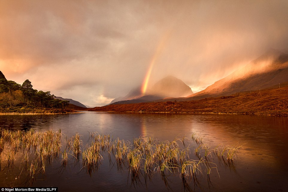 Ấn tượng về đất nước Scotland qua ảnh phong cảnh đẹp nhất năm