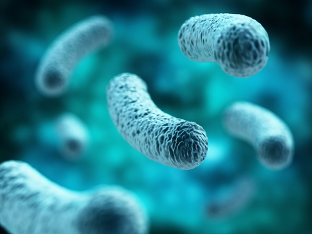 Lactobacillus Casei: Giảm tiêu chảy và kích thích các vi khuẩn có lợi phát triển.