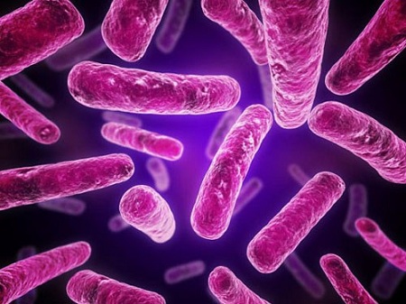 10 loại vi khuẩn có lợi cho cơ thể mà bạn nên bổ sung - Ảnh 7
