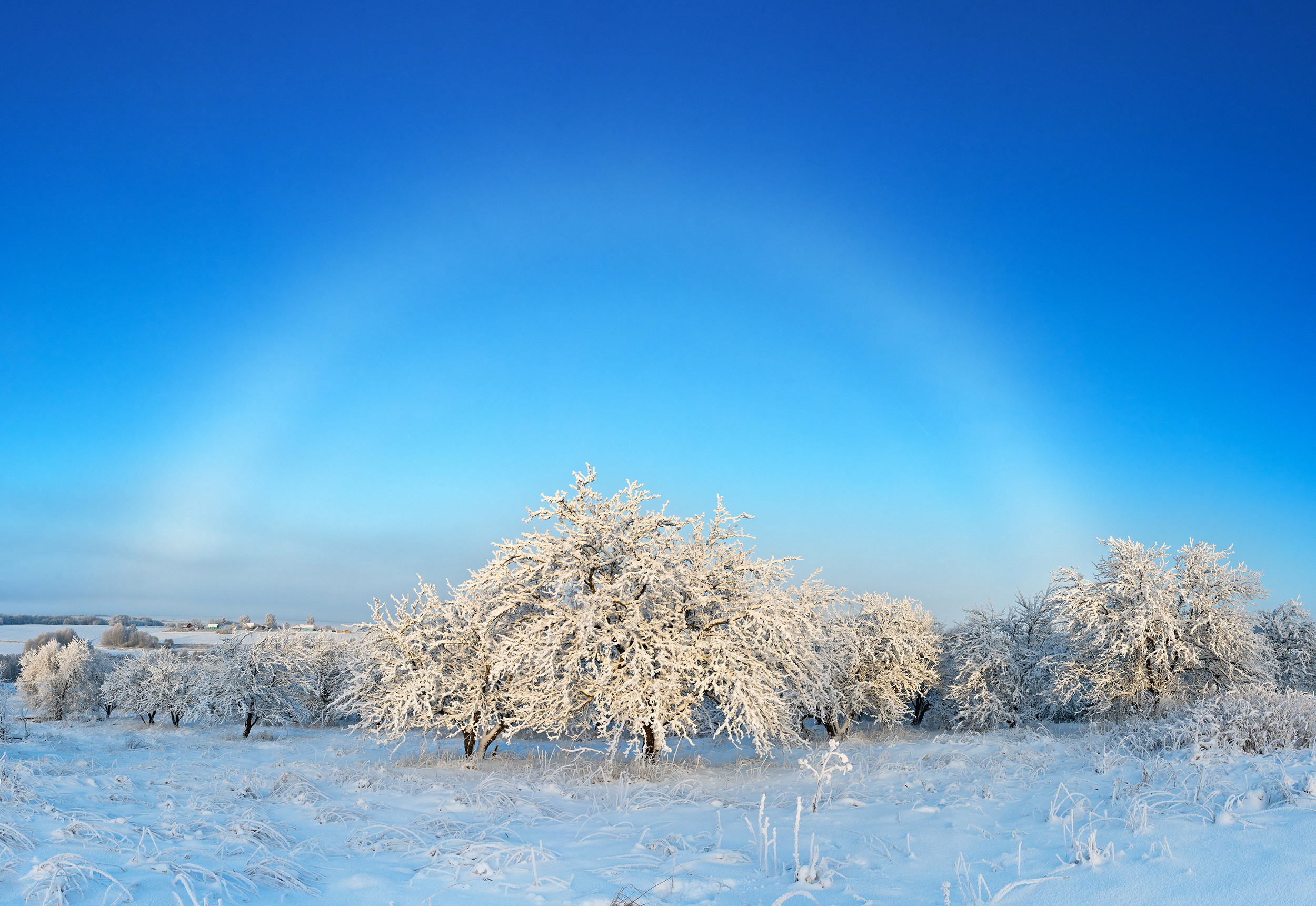 Nhiếp ảnh gia Elena Belozorova đã gây được ấn tượng với ban giám khảo bằng bức ảnh tuyệt đẹp khi cầu vồng huyền ảo hiện lên trong một khu rừng phủ đầy tuyết trắng ở Croatia.