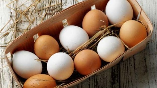 Trứng: Trứng là nguồn cung cấp dồi dào protein và vitamin, giúp cơ thể chống lại nhiễm trùng trong mùa Đông. Trứng cũng có tác dụng tăng cường tích trữ năng lượng giữ ấm cơ thể.